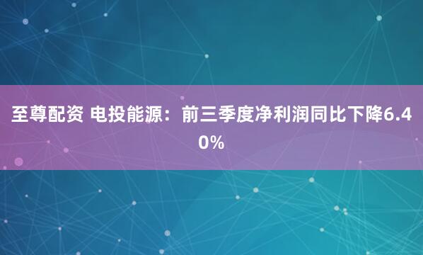 至尊配资 电投能源：前三季度净利润同比下降6.40%