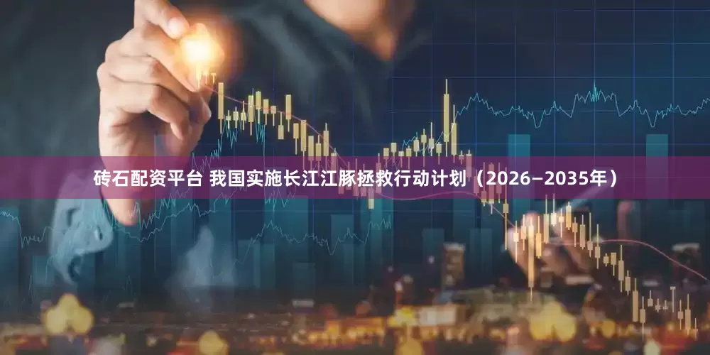 砖石配资平台 我国实施长江江豚拯救行动计划(2026—2035年)