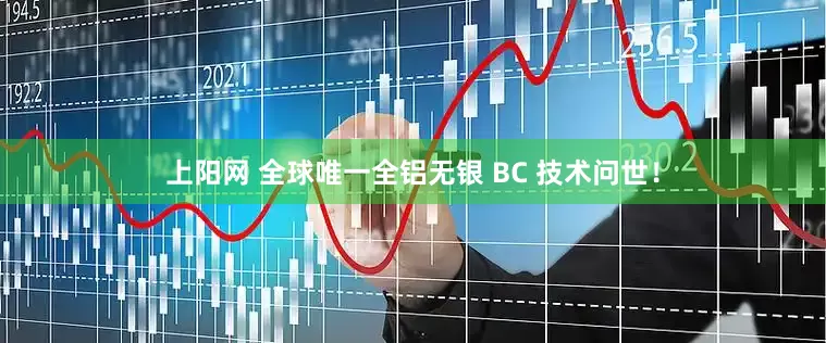 上阳网 全球唯一全铝无银 BC 技术问世！