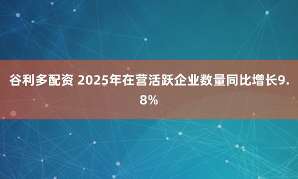 谷利多配资 2025年在营活跃企业数量同比增长9.8%